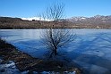 Lago Piccolo di Avigliana ghiacciato_029